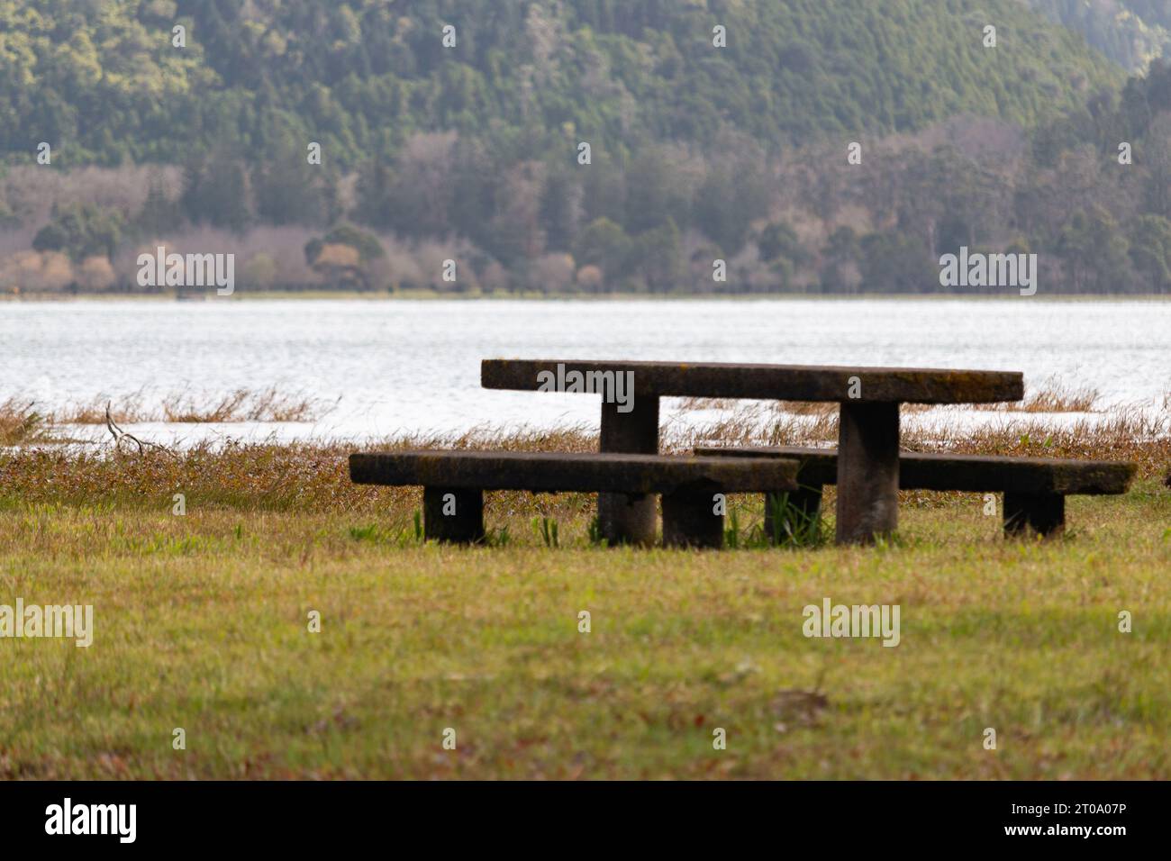 Holzpicknicktische am Seeufer mit Gras und Bäumen auf den Azoren, Portugal Stockfoto