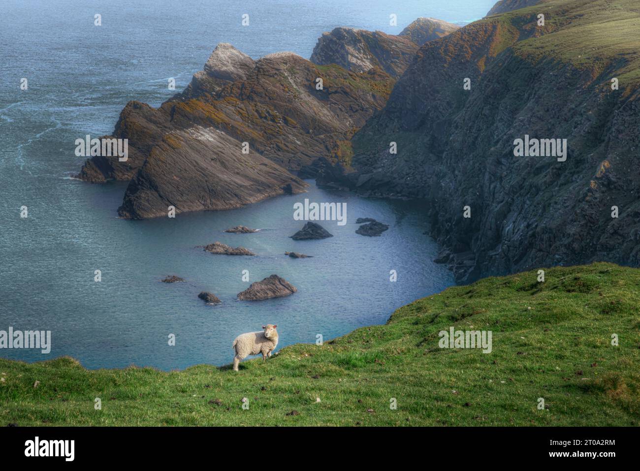 Die dramatische Küste der Hermaness auf Unst, Shetland Islands. Stockfoto