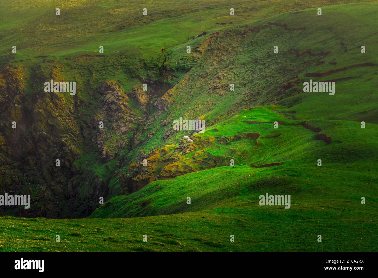 Die dramatische Küste der Hermaness auf Unst, Shetland Islands. Stockfoto