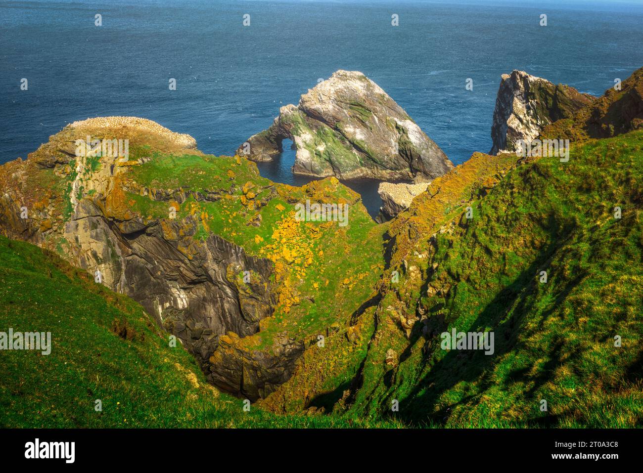 Die dramatische Küste der Hermaness auf Unst, Shetland Islands. Stockfoto