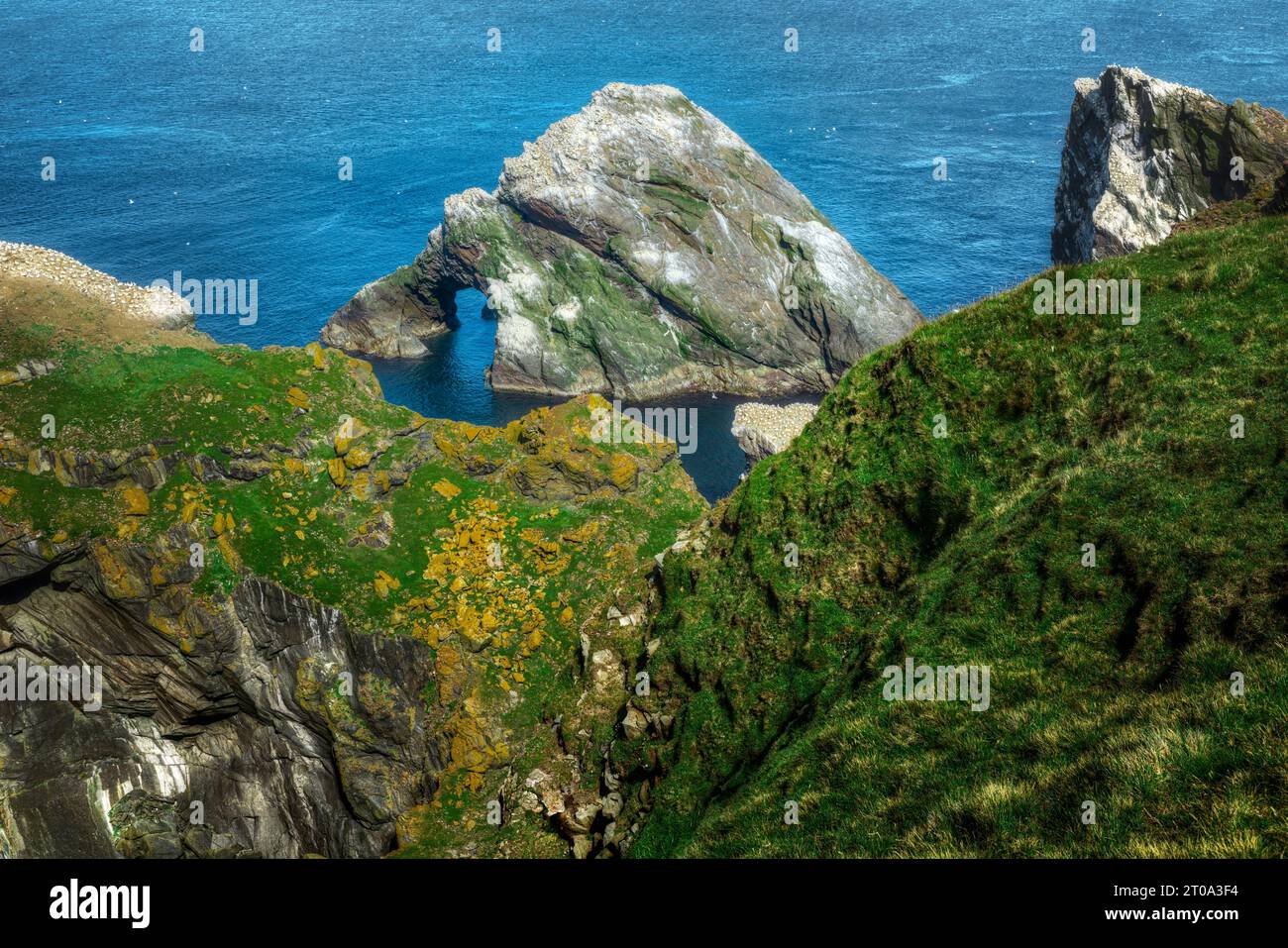 Die dramatische Küste der Hermaness auf Unst, Shetland Islands. Stockfoto