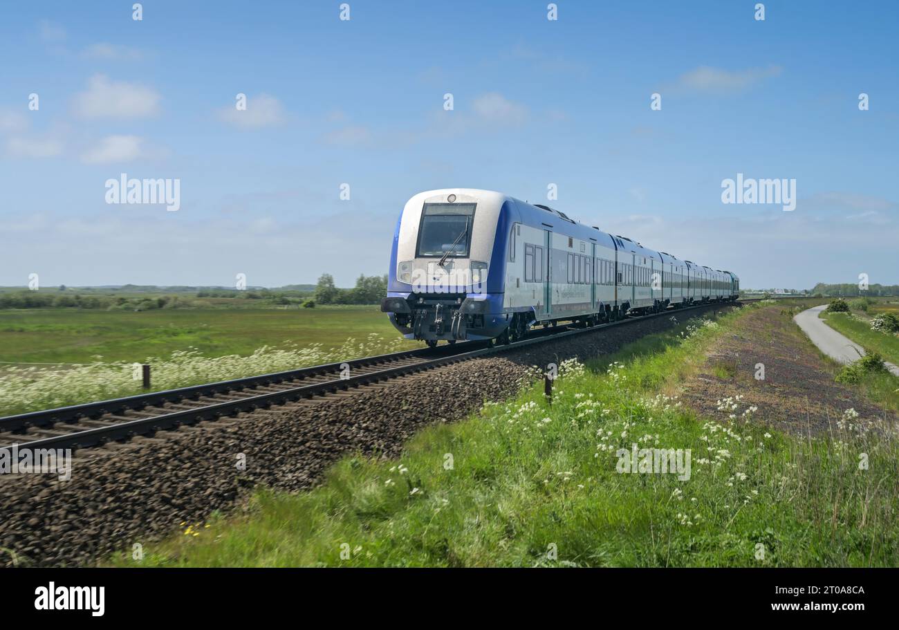 Sylt-Shuttle Nahverkehrsverbund Schleswig-Holstein NAH.SH, Gleis, Hindenburgdamm, Sylt, Schleswig-Holstein, Deutschland Stockfoto