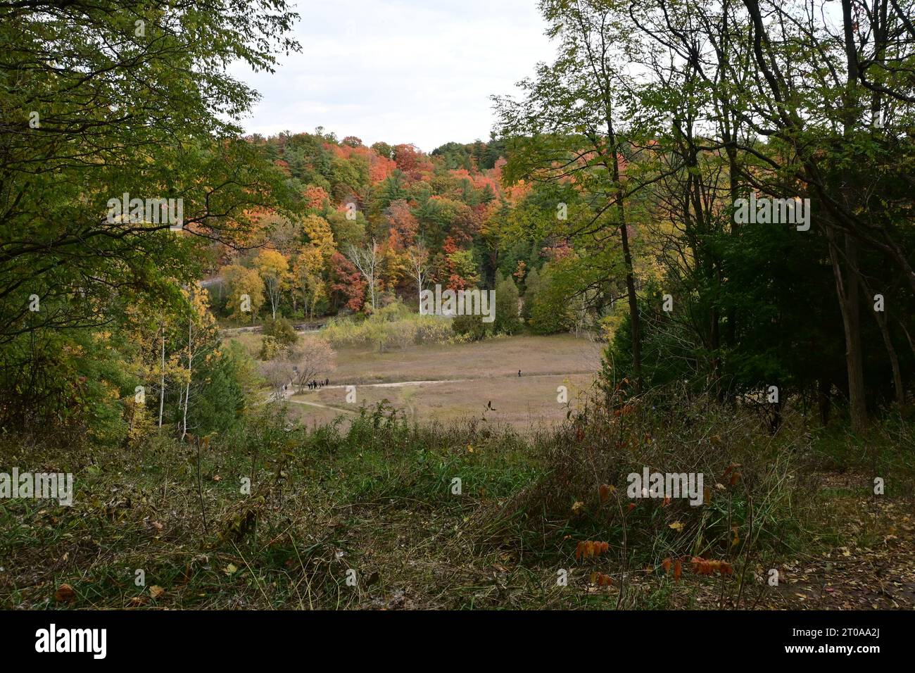 Rouge National Urban Park, Scarborough, Kanada - Herbst 2022 Stockfoto