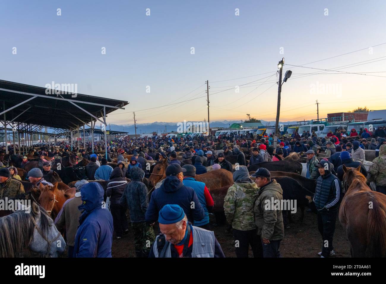 Wöchentlicher Tiermarkt in Karakol, Kirgisistan Stockfoto