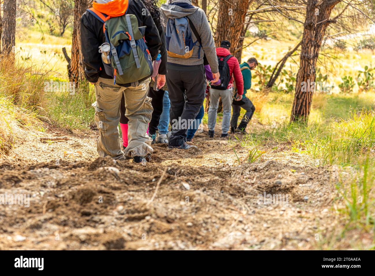 Escursionisti scendono la montagna su sentiero sterrato Stockfoto