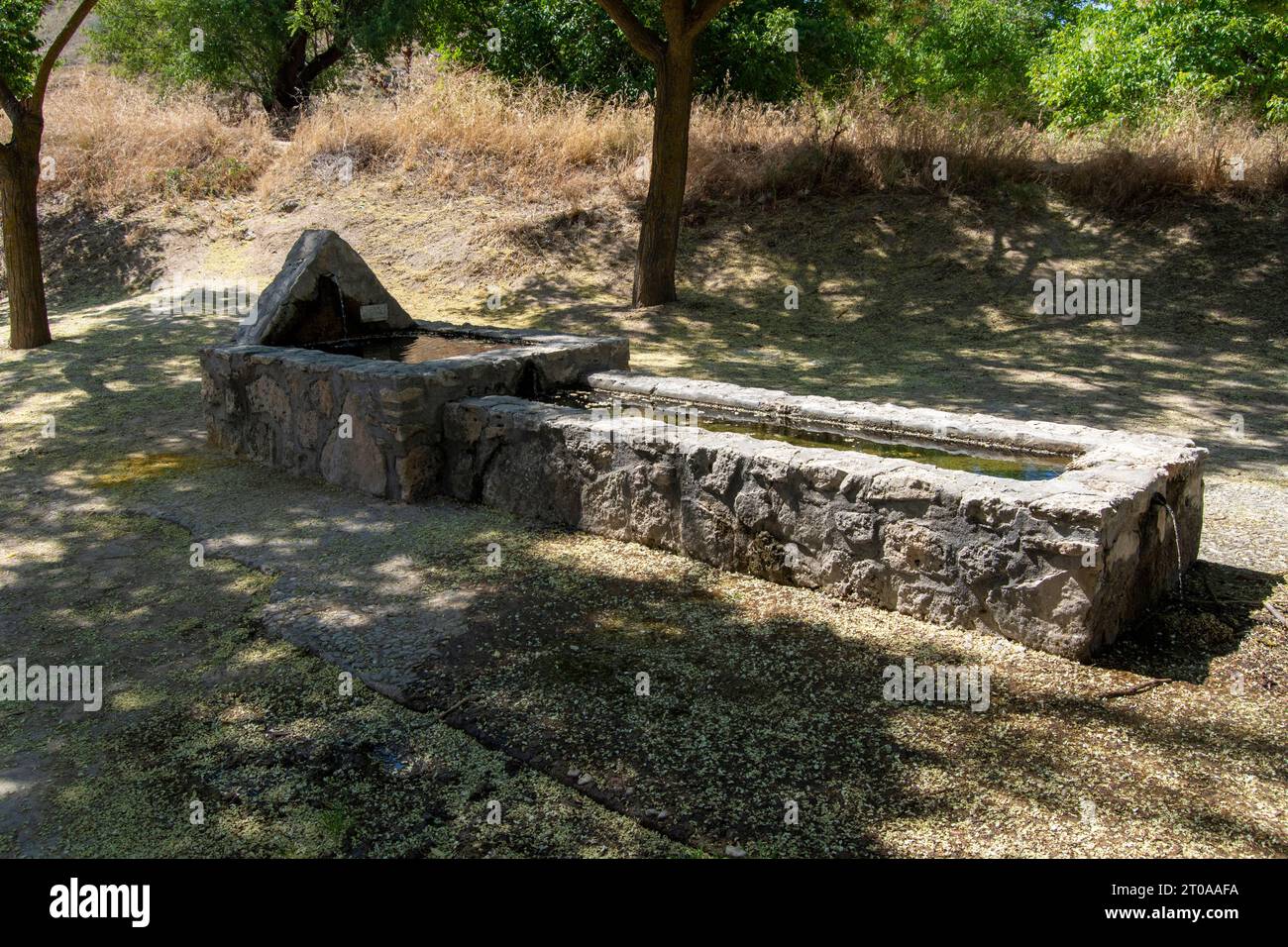 Rustikaler steinerner Wasserbrunnen und langer Trink Trog unter Baumschatten im ländlichen Dorf Carabaña, Spanien Stockfoto