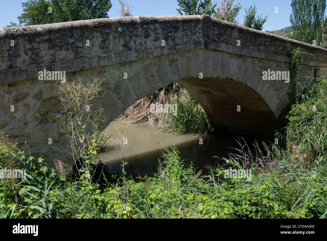 Puente romano en Carabaña Stockfoto