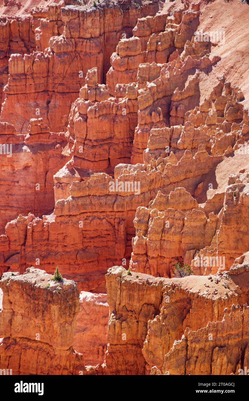 Vertikales Bild der roten Hoodoos, die durch Erosion am Cedar Breaks National Monument in Utah verursacht wurden Stockfoto