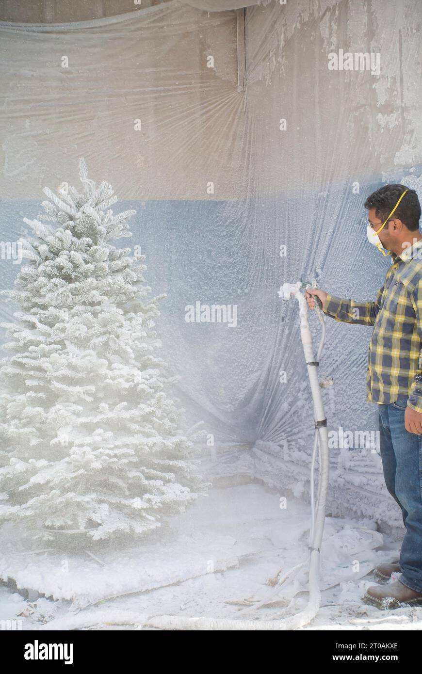 Beflockungsbaum in Vorbereitung auf Weihnachten Stockfoto