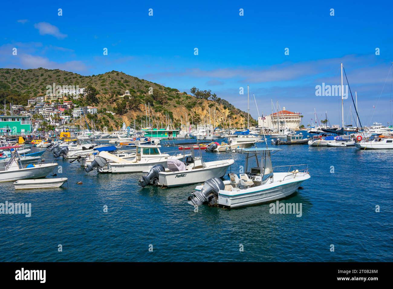 Avalon, CA, USA - 13. September 2023: Blick auf den Hafen von Avalon mit Booten und das Catalina Casino Gebäude im Hintergrund auf Santa Catalina IS Stockfoto