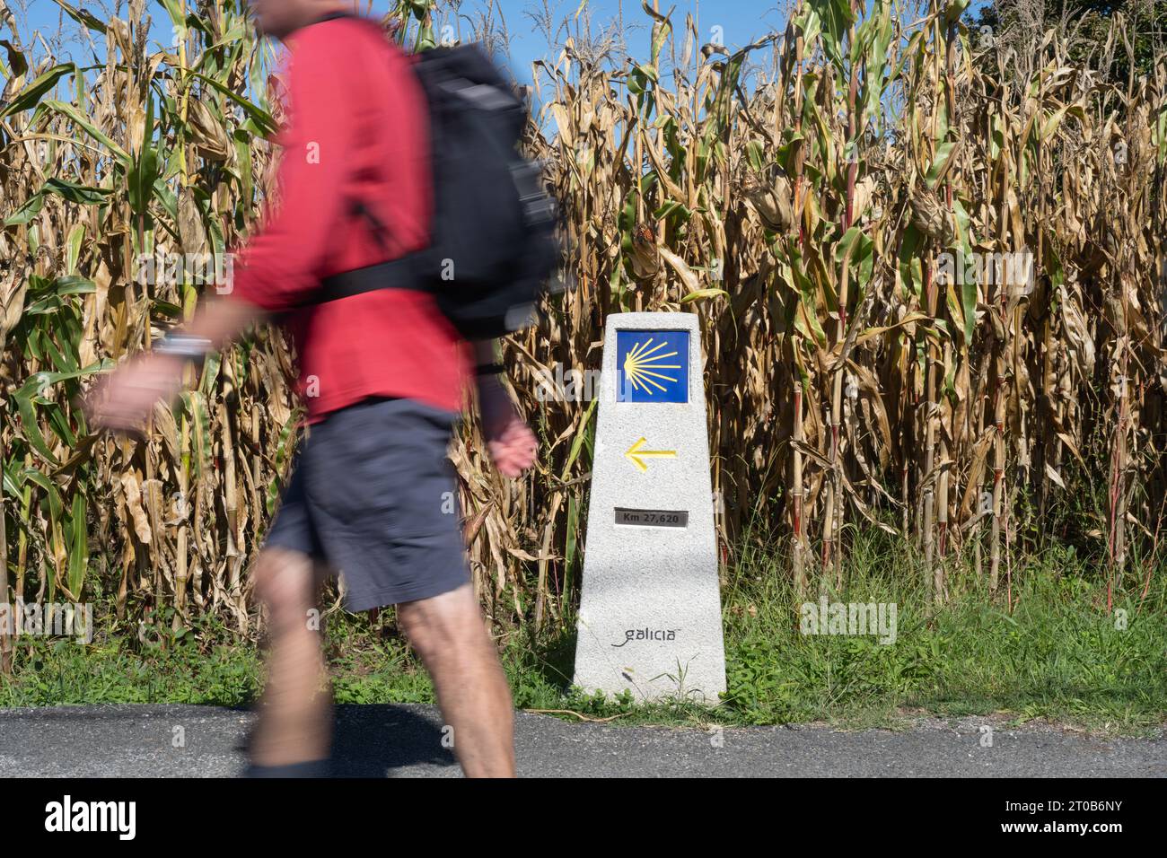 Wegweiser des Jakobsweges, Galicien, Spanien Stockfoto