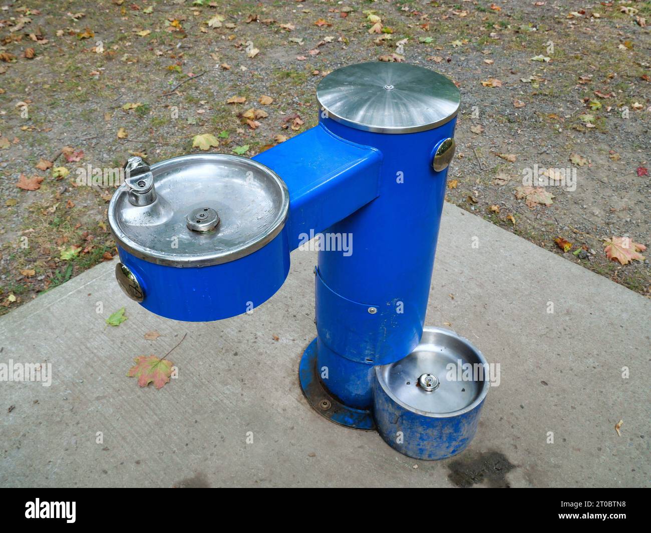 Trinkbrunnen im öffentlichen Park, mit unterer Schüssel für Hunde Stockfoto