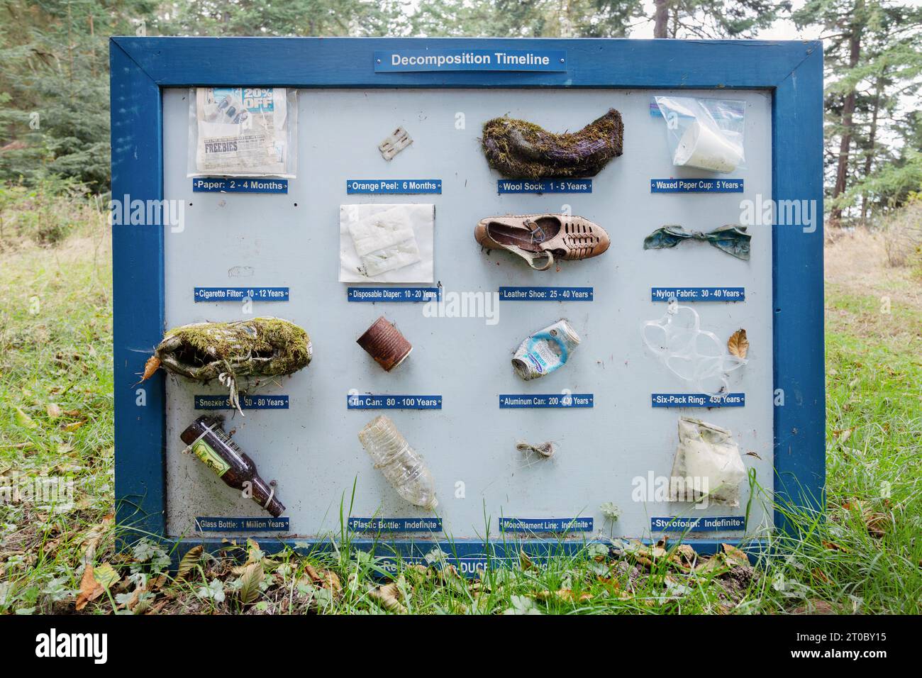 Anzeige der Zersetzungszeitlinie, Dungeness National Wildlife Refuge, Sequim WA. Stockfoto
