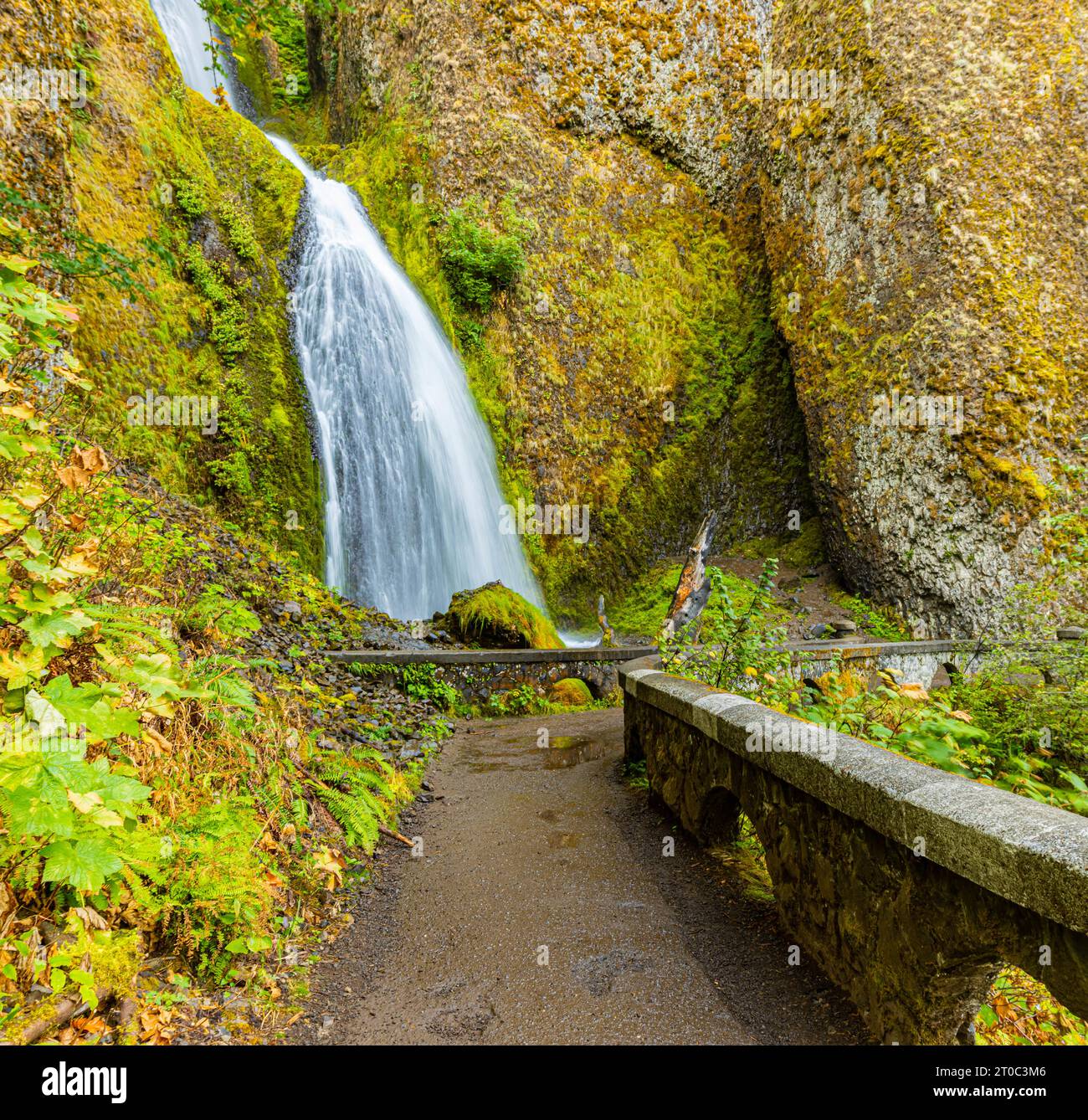 Stone Bridge und Wahkeena Falls, Columbia River Gorge, Oregon, USA Stockfoto