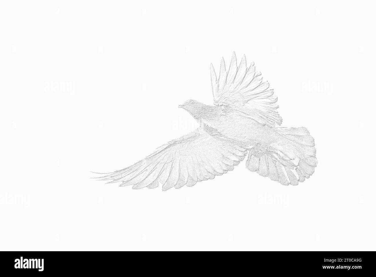 3D-Darstellung einer Basreliefskulptur einer Taube, die ihre Flügel in der Luft spreizt. 3D-Darstellung einer Taube. Stockfoto