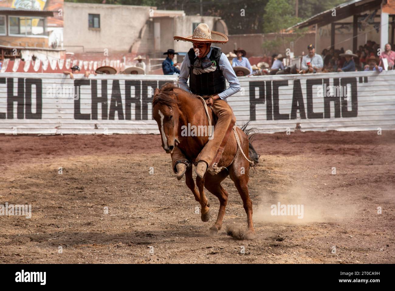 Coacalco, Estado de Mexico, Mexiko. September 2023. Ein Mann reitet auf einem Pferd in einem traditionellen Wettkampf, der als Charrreada bekannt ist. Stockfoto