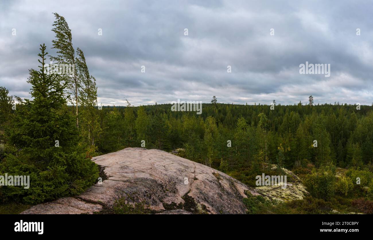 Landschaft von einem Hügel im Lapakisto Nature Reserve, Lahti, Finnland an einem bewölkten Tag Stockfoto