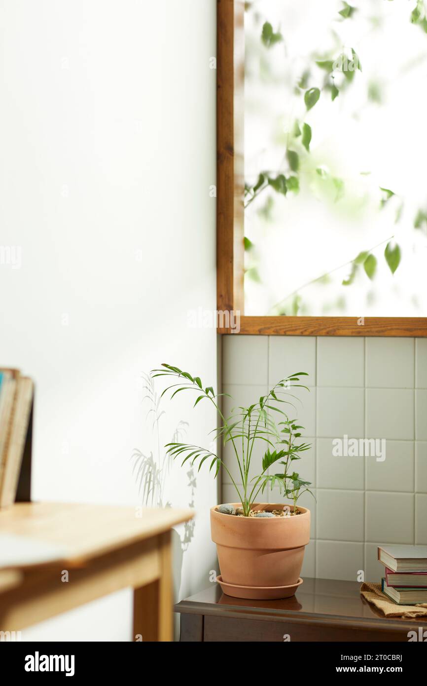 Ein komfortables Zimmer, in dem warme Nachmittagssonne durch ein Fenster mit Blick auf die Blätter der Bäume hereinkommt. Stockfoto