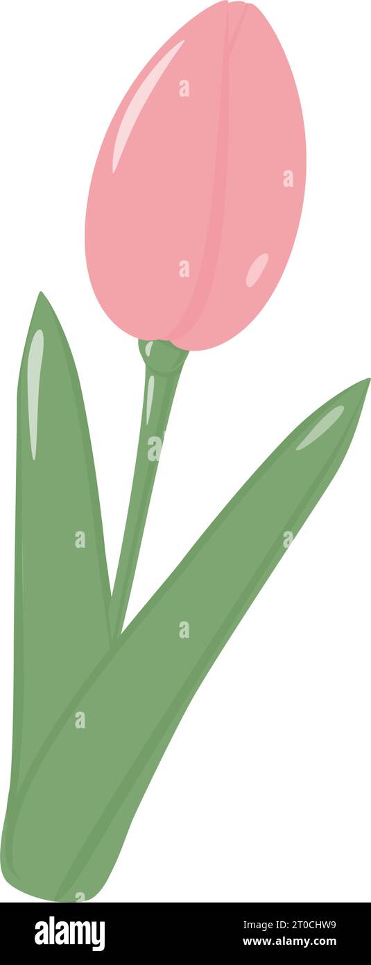 Isolierte blühende, weiche, rosa Tulpenblüte für Blumenstrauß in trendigen Tönen. Hallo Frühling. Aufkleber. Symbol. EPS. Vektorillustration für Gruß- oder Einladungskarten, Preisschild, Etikett oder Web, Poster, Banner Stock Vektor
