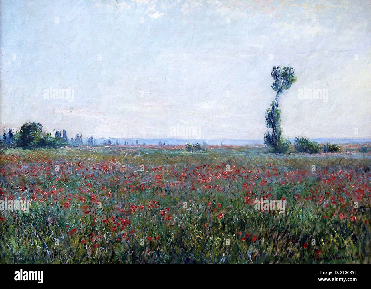 Champ de coquelicots (1881) von Claude Monet (1840-1926) Feld der roten Mohnblumen. Stockfoto