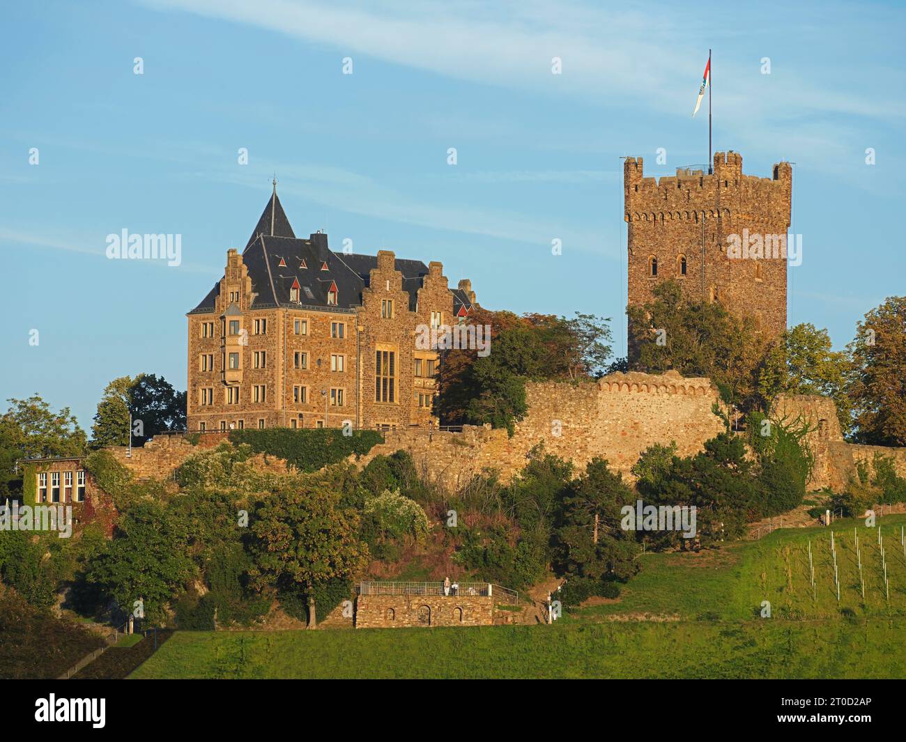 Schloss Klopp, Bingen am Rhein, Rheinland-Pfalz, Deutschland Stockfoto