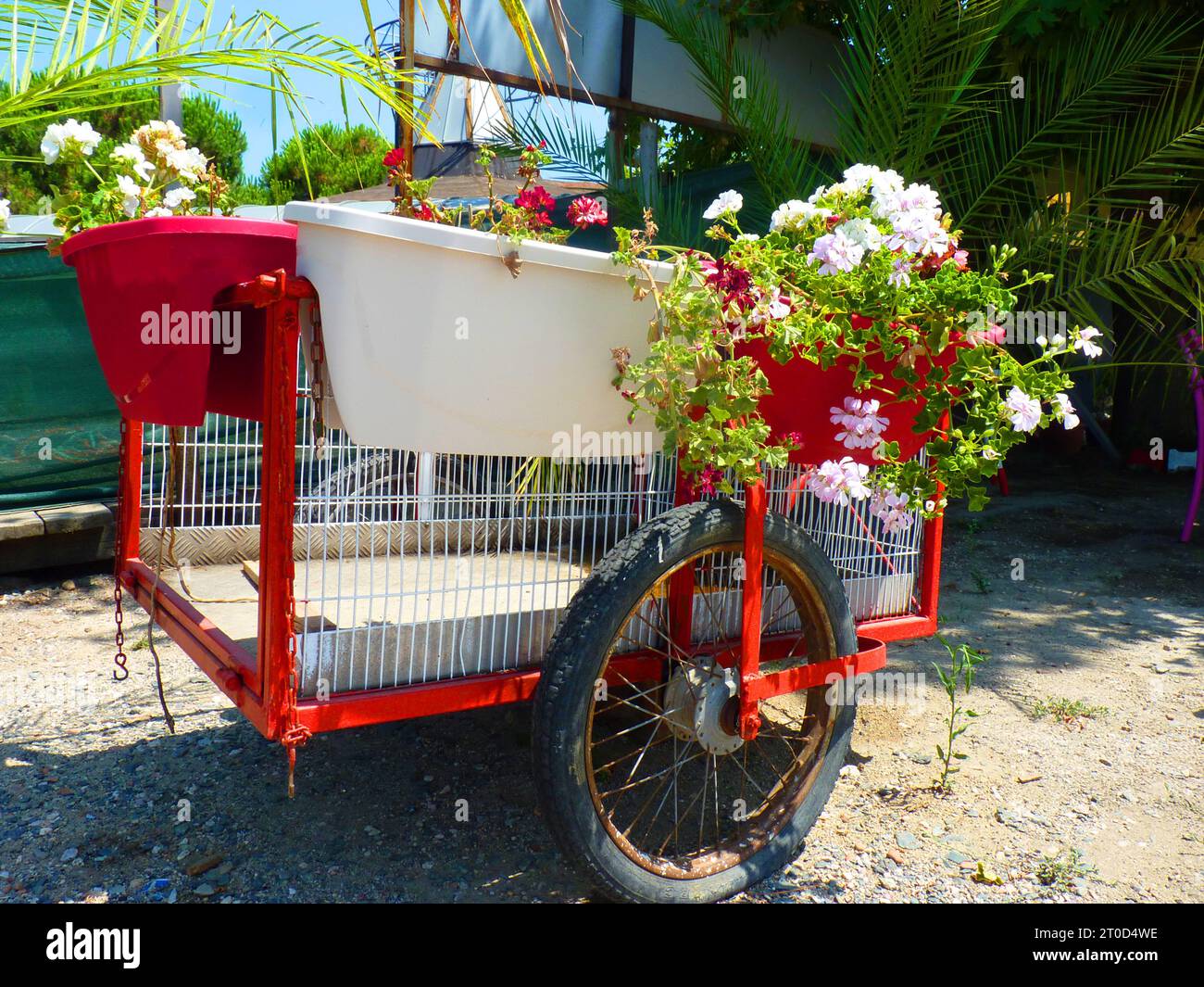 Das Bild zeigt eine rote Schubkarre mit einem weißen Pflanzgefäß, gefüllt mit Erde und verschiedenen bunten Blumen. Es steht auf Kies, mit grünem Zaun. Stockfoto