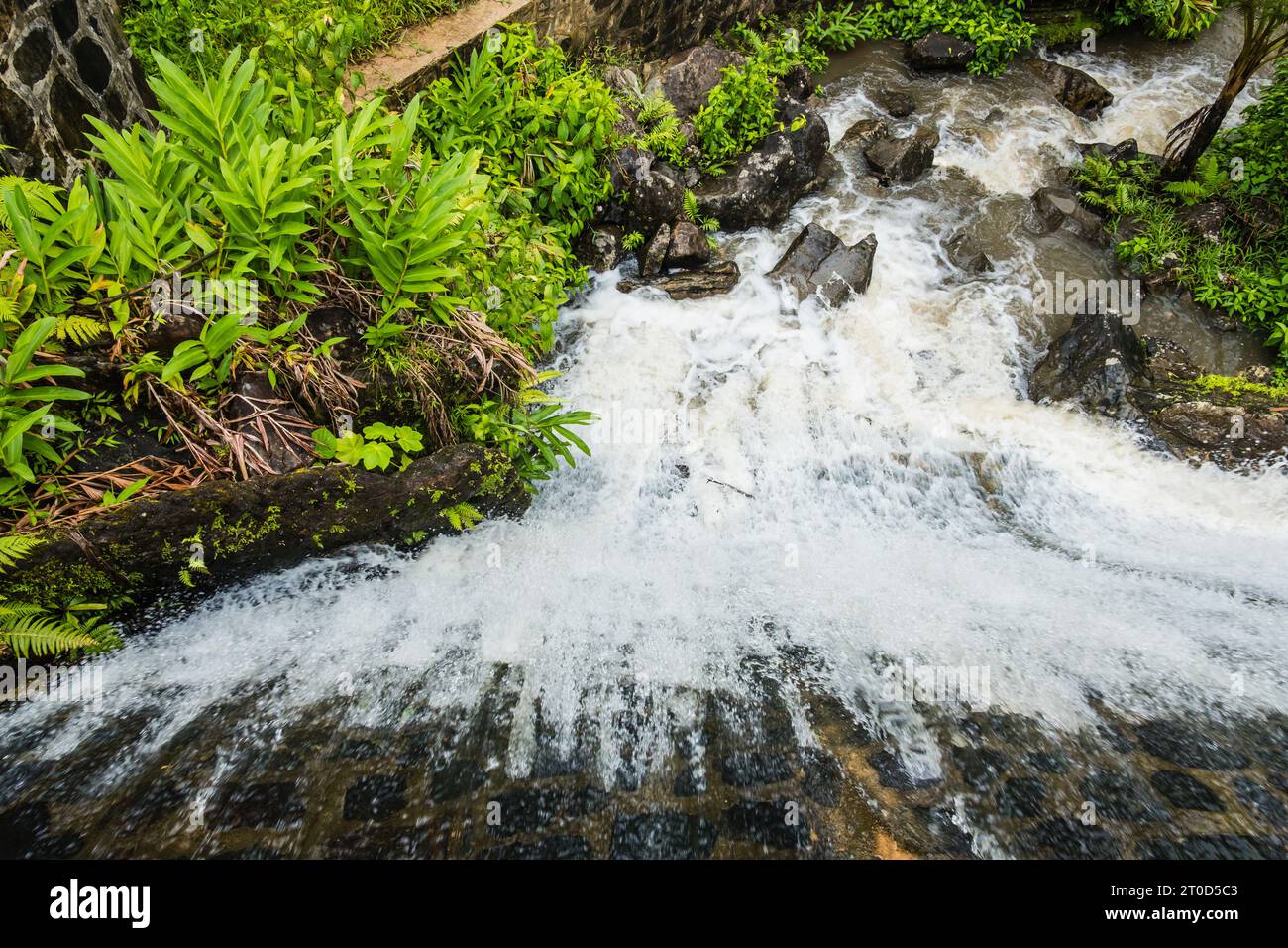 Wasserfall im El Yunque National Forest in Puerto Rico. Stockfoto