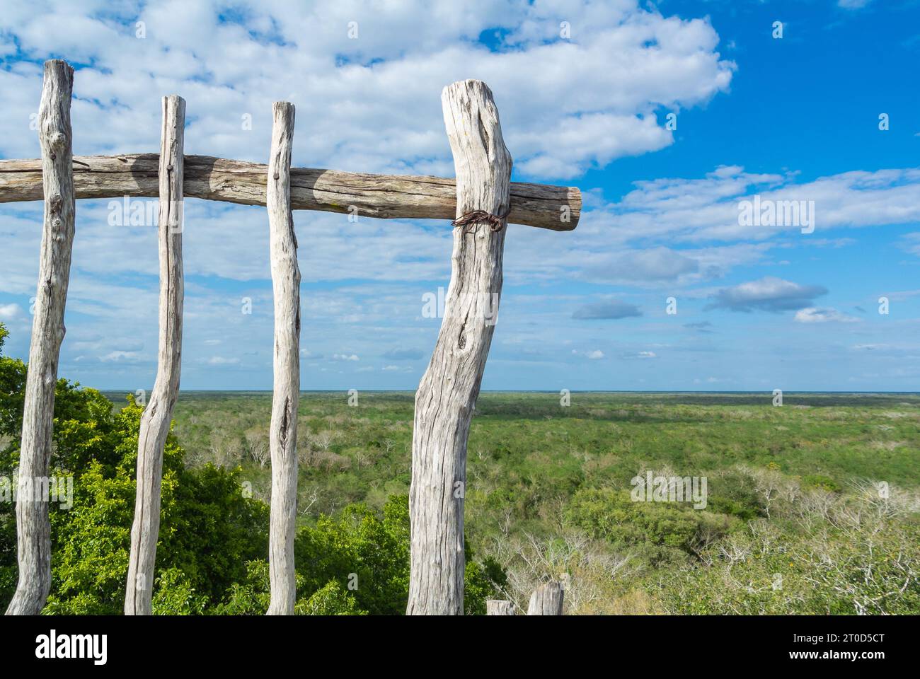 Eine Dschungellandschaft auf der Halbinsel Yucatan. Stockfoto