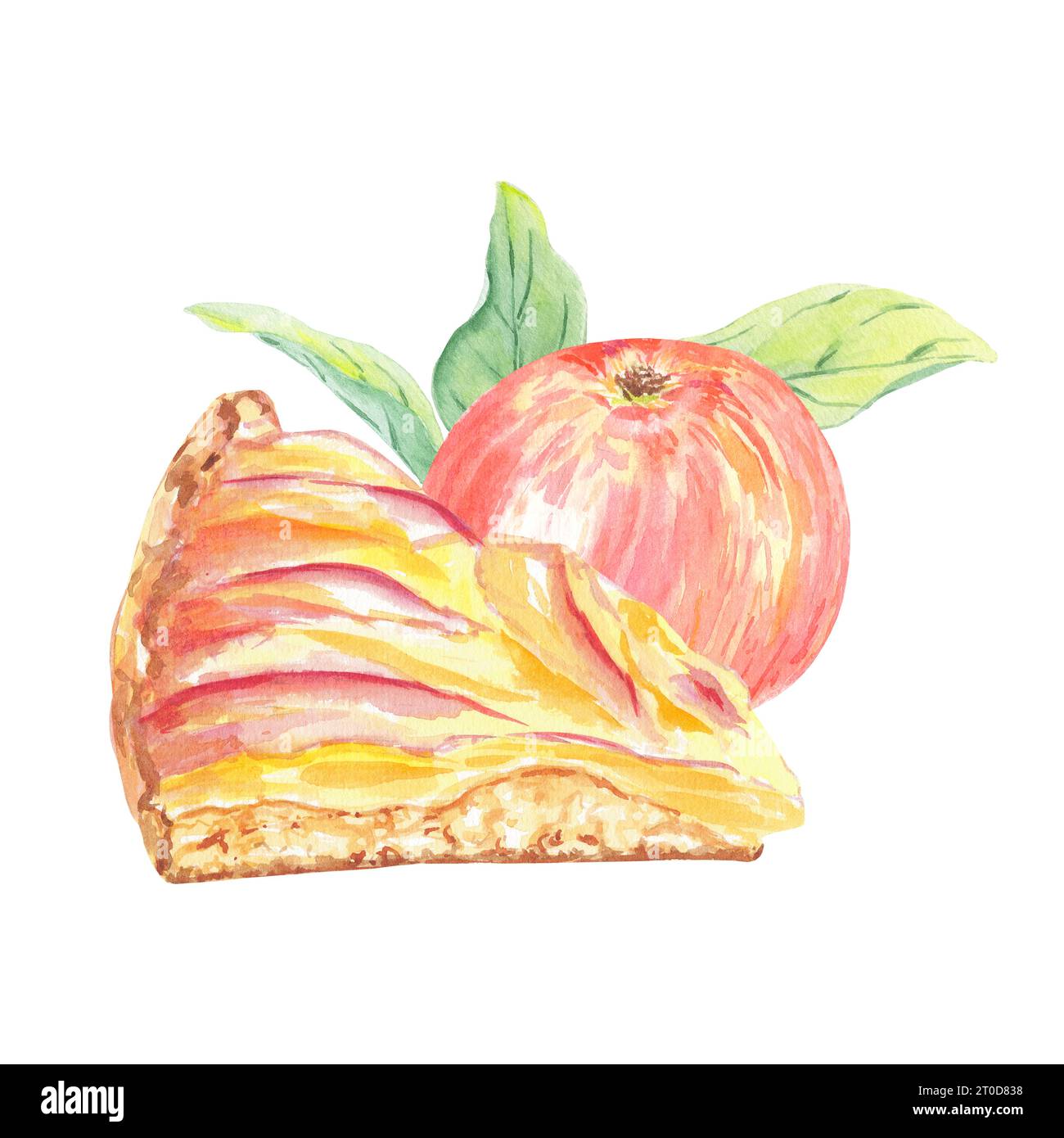 Aquarellkomposition Apfelscheibe mit Kuchen isolierte Illustration auf weißem Hintergrund. Herbstfrucht für Logo, Menü, Karte, Muster. Kunst für Design Stockfoto