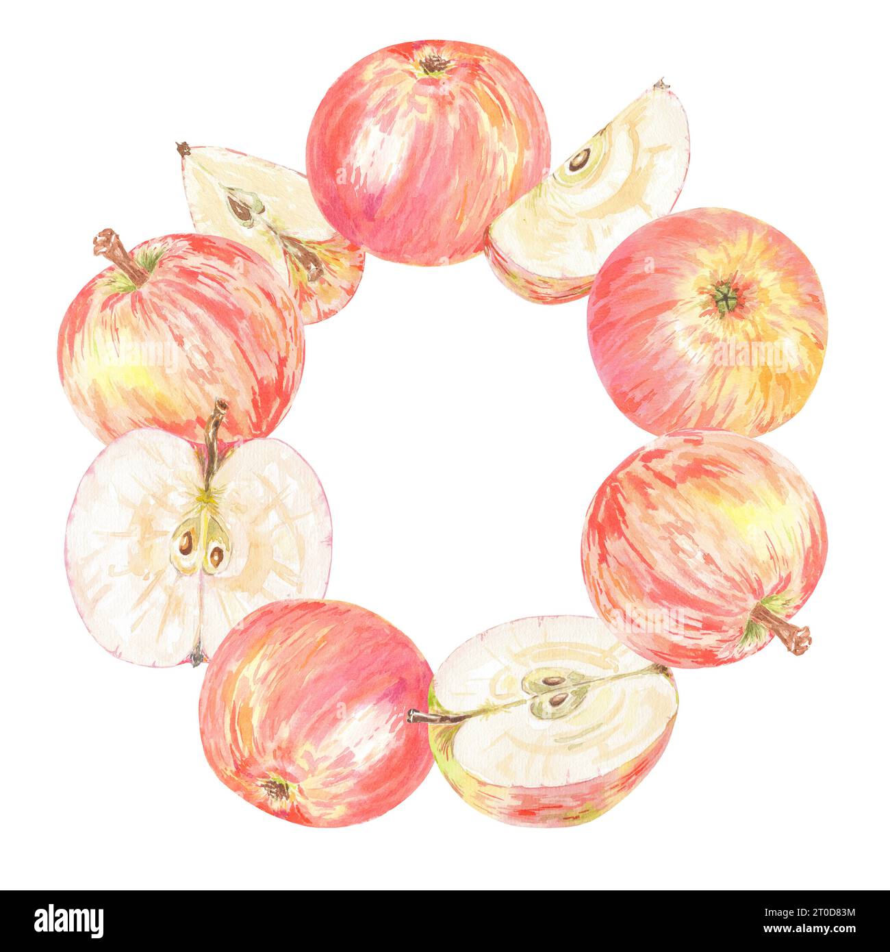 Aquarellkranz Apfelscheibe isolierte Illustration auf weißem Hintergrund. Herbstfrucht für Logo, Menü, Karte, Muster. Kunst für Design. Gesunde Ernährung Stockfoto