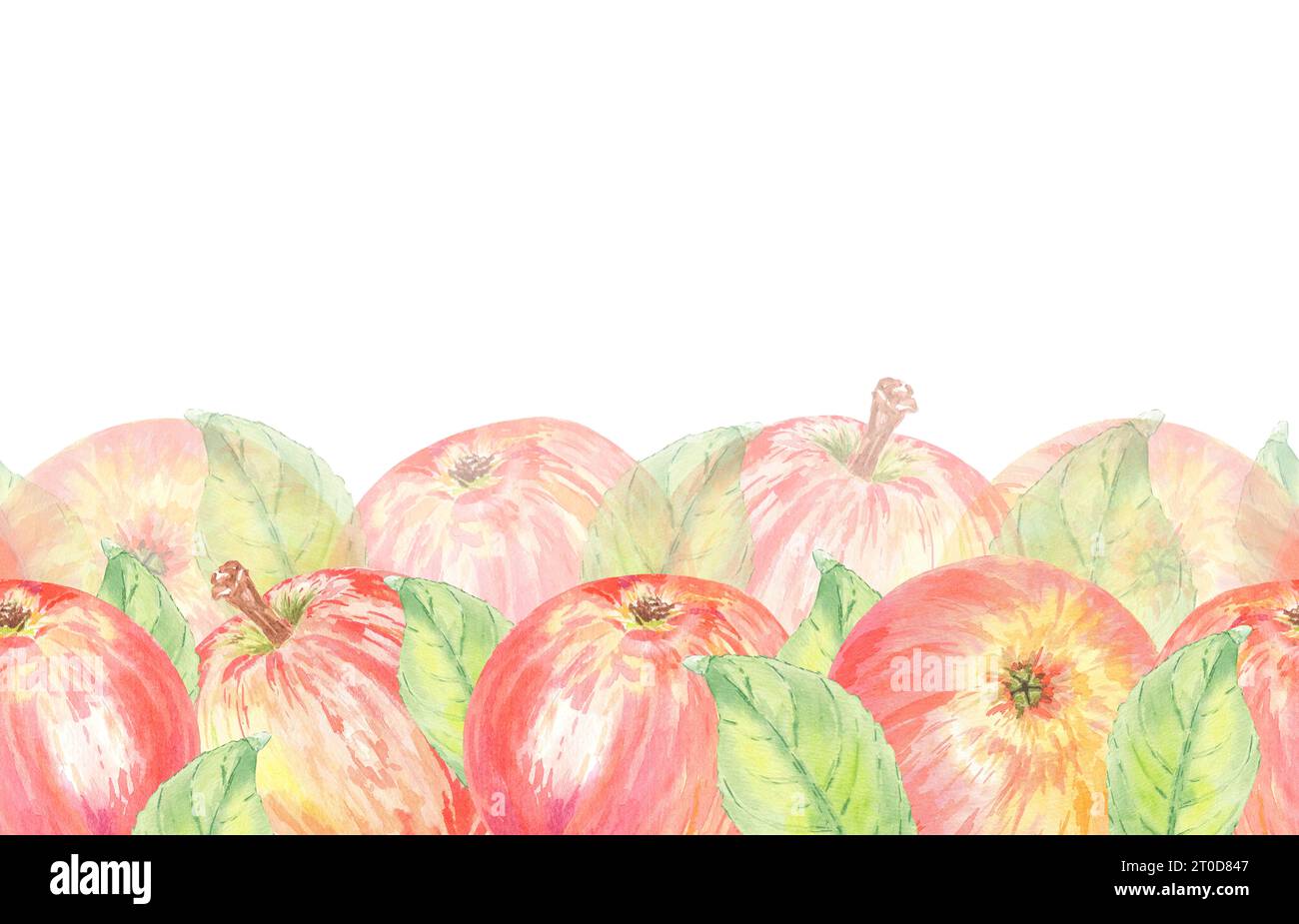 Nahtloser Rand mit roten Äpfeln und Blättern. Lebensmittelillustration handgemalt in botanischem Stile auf weißem Hintergrund für Postkarte, Karte Stockfoto