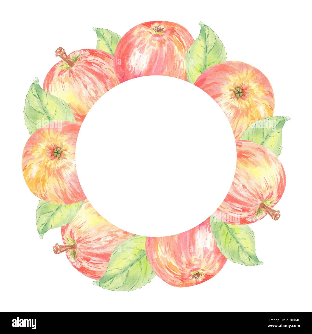 Aquarellkranz Apfelscheibe isolierte Illustration auf weißem Hintergrund. Herbstfrucht für Logo, Menü, Karte, Muster. Kunst für Design. Gesunde Ernährung Stockfoto