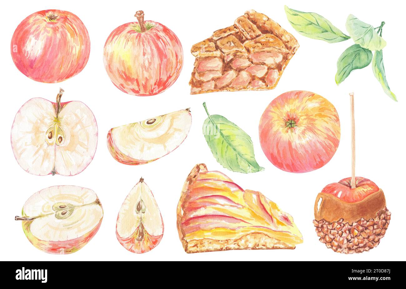 Clipart handgemalte rote Äpfel, grüne Blätter und Karamellnusskuchen. Botanische Illustration mit Aquarell isoliertes Element auf weißem Hintergrund. Kunstkost Stockfoto