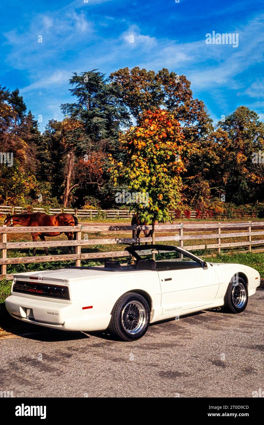 White Pontiac Firebird Trans am Cabriolet, Modell der dritten Generation 1988, parkt neben Fahrerlager und Pferden, New York, USA Stockfoto