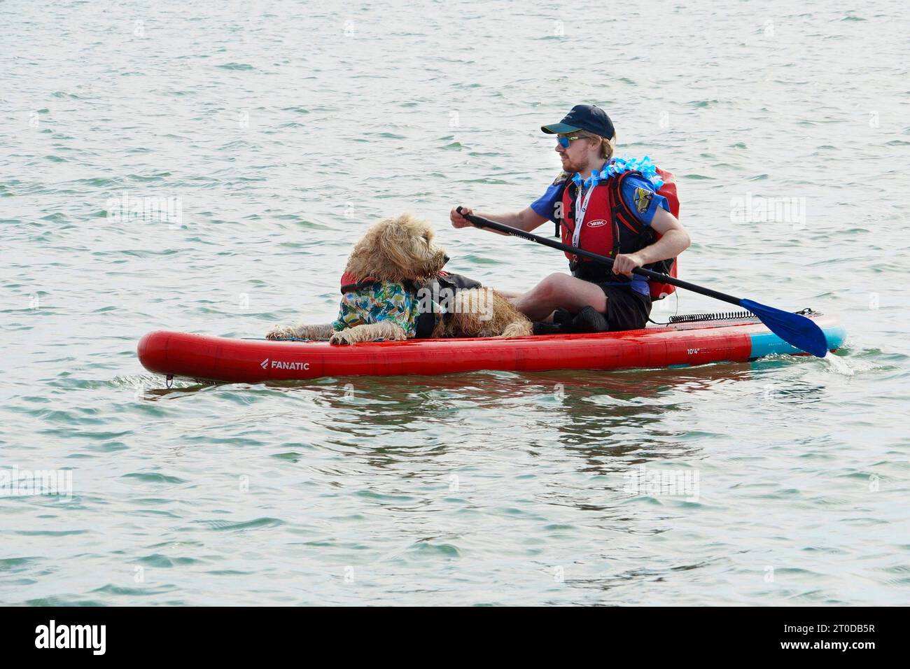 Ein Mann paddelt mit seinem Hund auf dem offenen Meer und genießt einen friedlichen Tag auf dem Wasser. Stockfoto