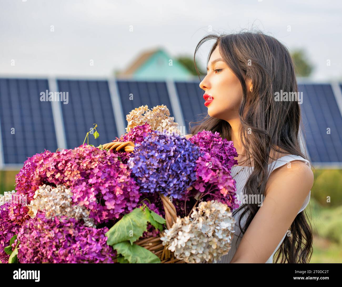Schöne junge brünette weiße Frau mit Blumensträußen aus Flieder, Nahaufnahme. Sonnenkollektoren im Hintergrund. Stockfoto