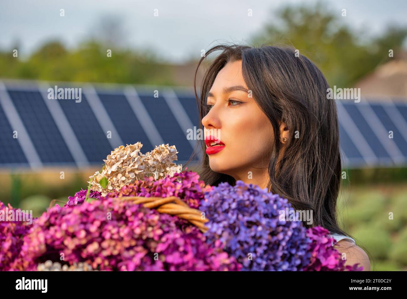 Schöne junge brünette weiße Frau mit Blumensträußen aus Flieder, Nahaufnahme. Sonnenkollektoren im Hintergrund. Stockfoto