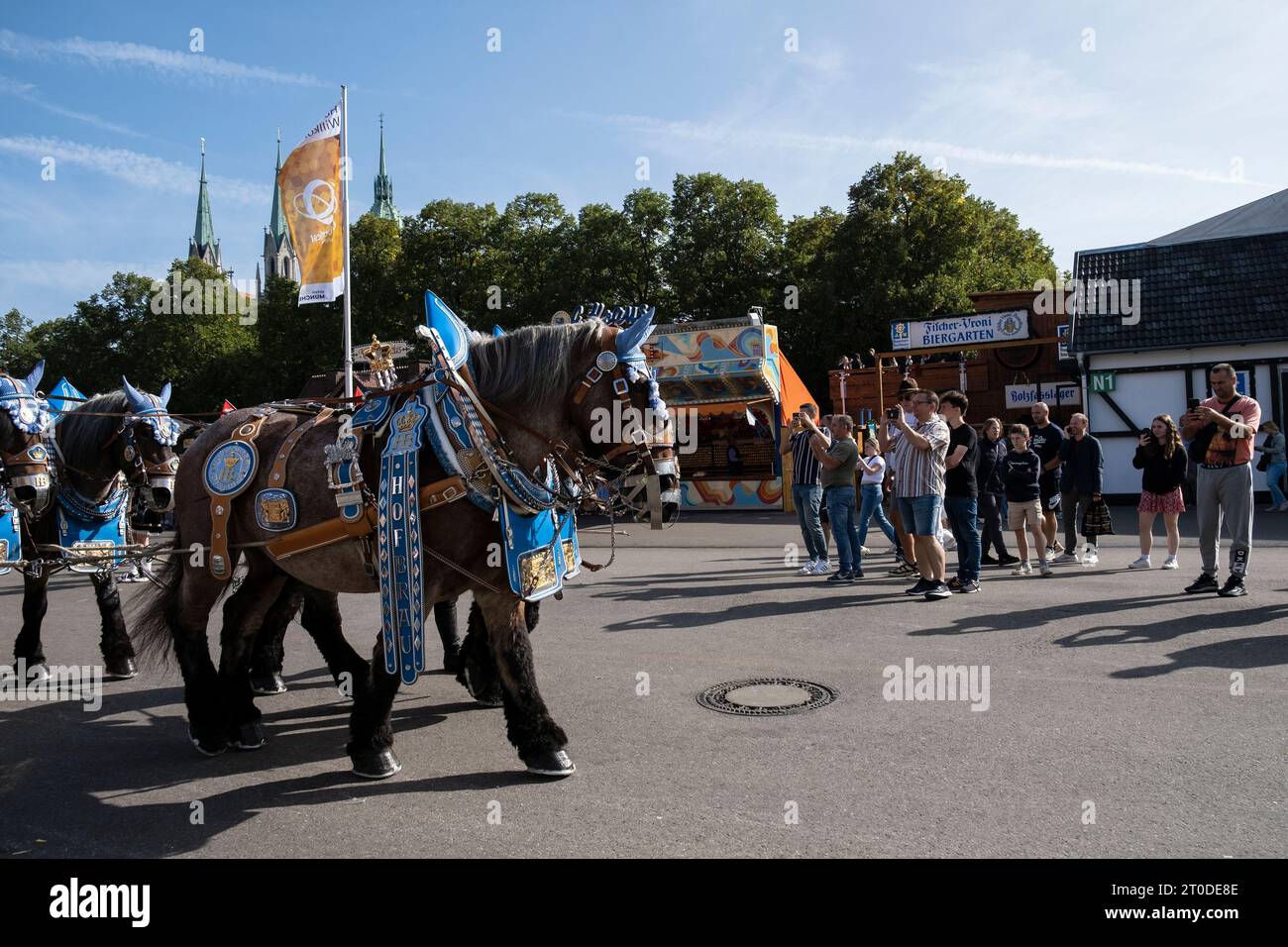 München, Deutschland - 1. Oktober 2023. Pferdekutschen beim Oktoberfest 2023, dem weltberühmten Bierfest in der bayerischen Kultur d' Wiesn Stockfoto