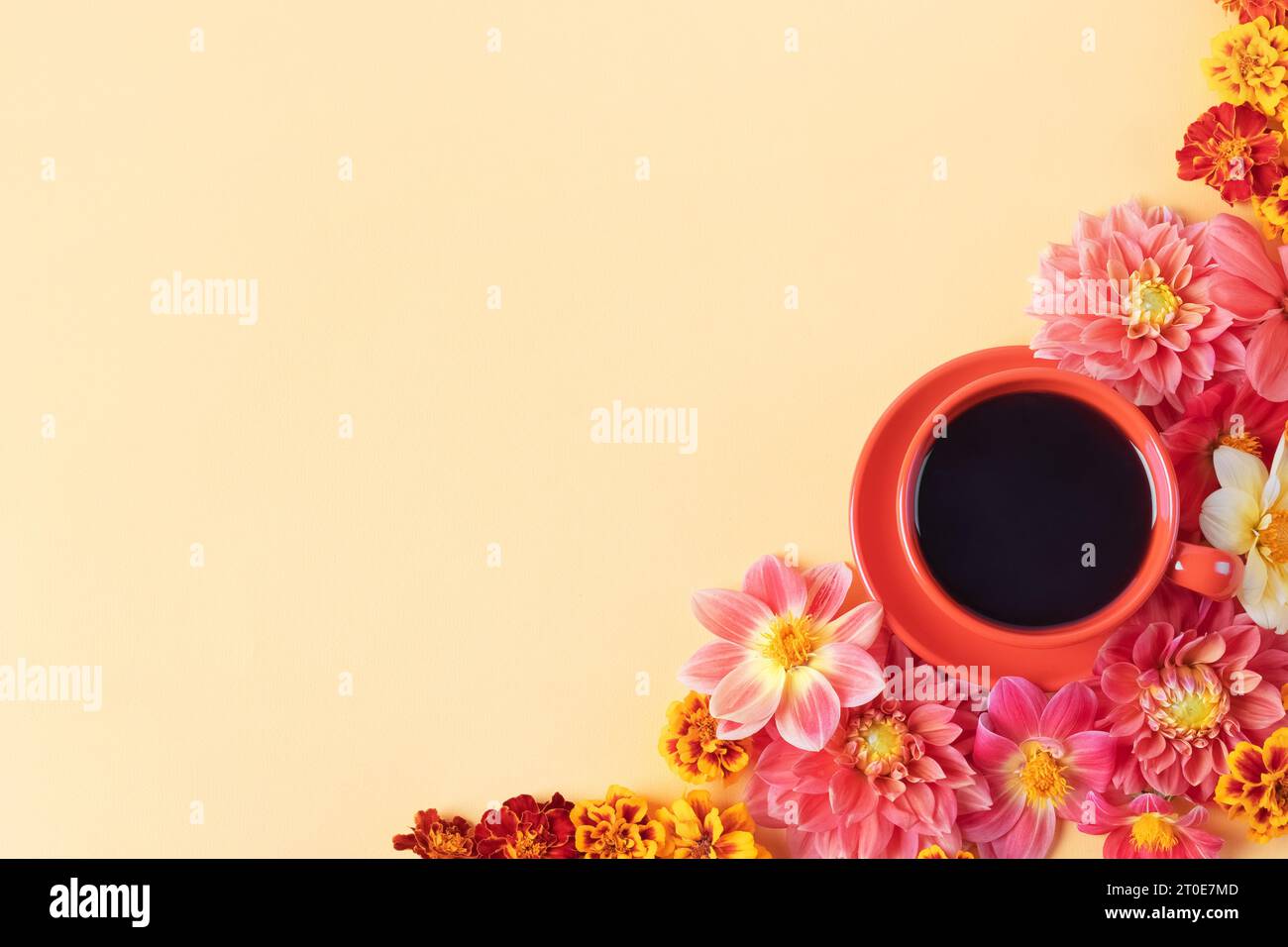 Herbstkomposition einer roten Kaffeetasse und Dahlienblüten auf gelbem Hintergrund mit einem Textplatz. Flache Lagen. Naturkonzept Stockfoto