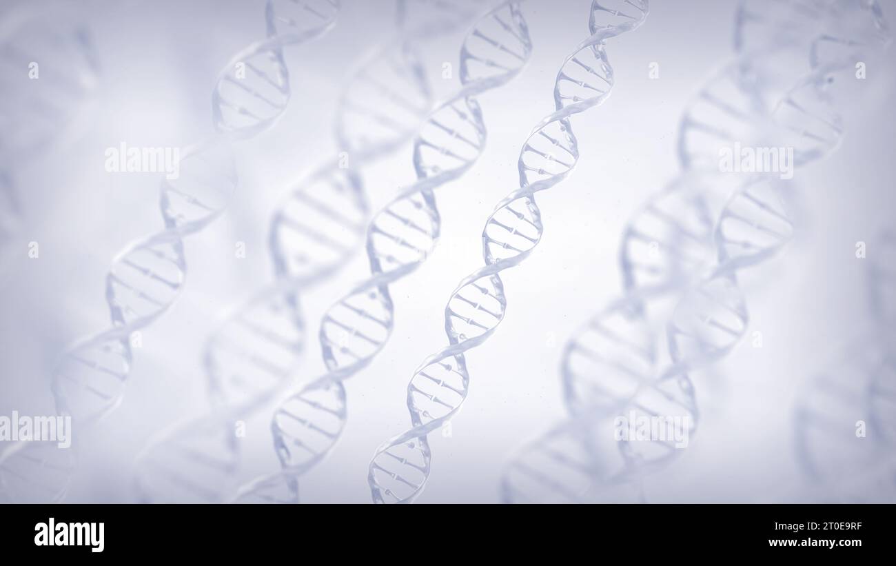 Identifizierung von Genmutationen durch Gentests. Doppelhelix-DNA (Desoxyribonukleinsäure)-Moleküle Stockfoto