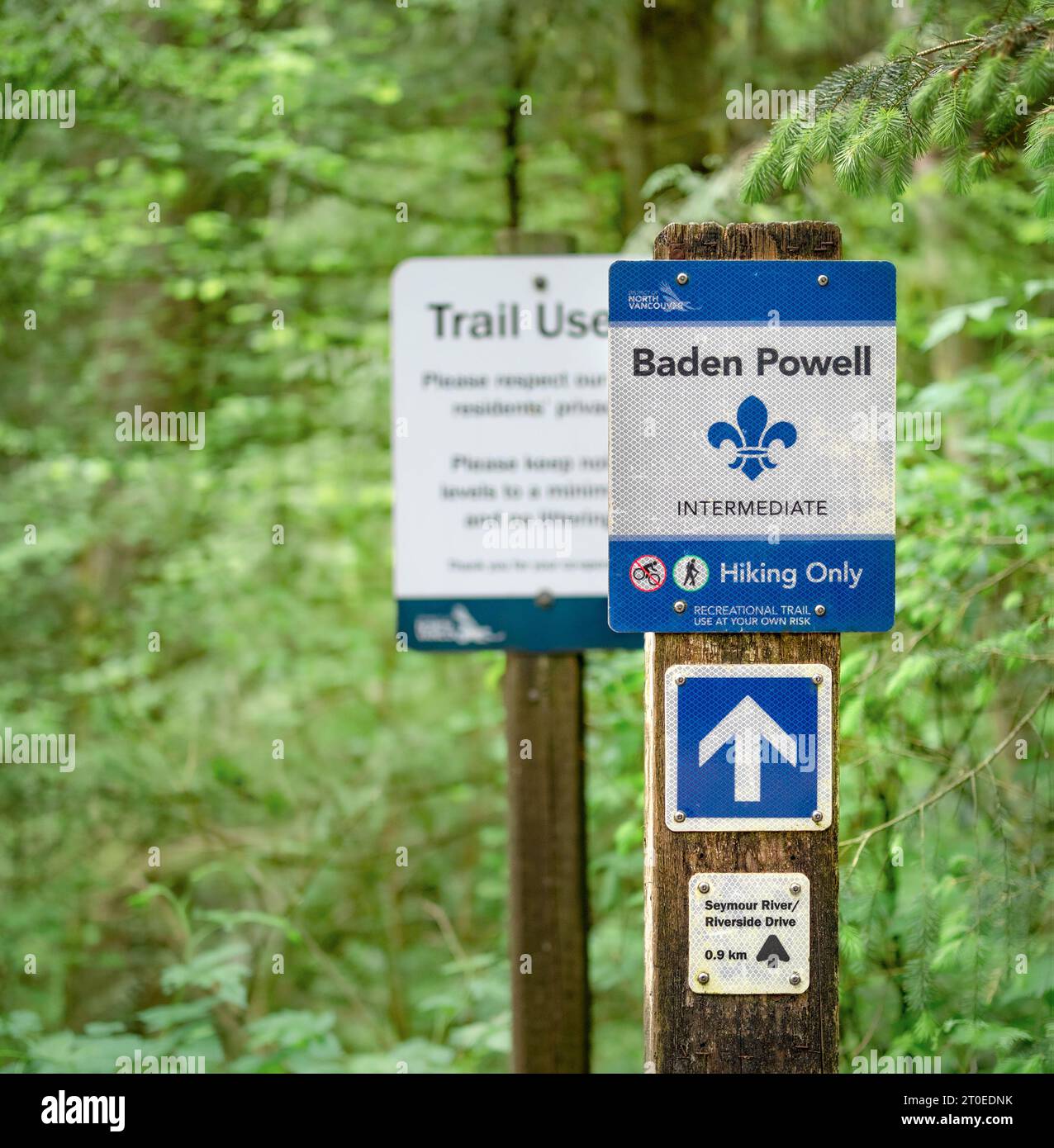 Berühmtes Schild für den Baden Powell Wander Trail in North Vancouver. Reflektierendes Muster mit Richtungspfeil. Selektiver Fokus mit unscharfem grünem Waldrücken Stockfoto