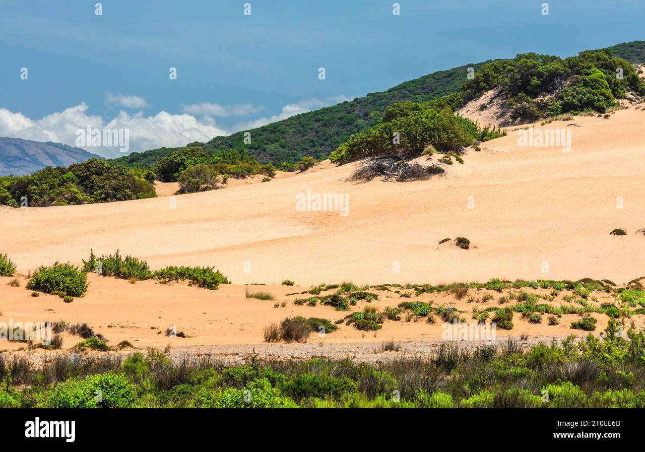Dünen am Strand Scivu, Arbus, Provinz Sud Sardegna, Sardinien, Italien Stockfoto