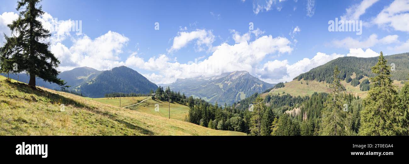 Idyllische Berglandschaft in der Schweiz. Wunderschöner Panoramablick auf die Schweizer Sommerlandschaft mit Wiesen, Wald und Bergen mit blauem bewölktem Himmel. P Stockfoto