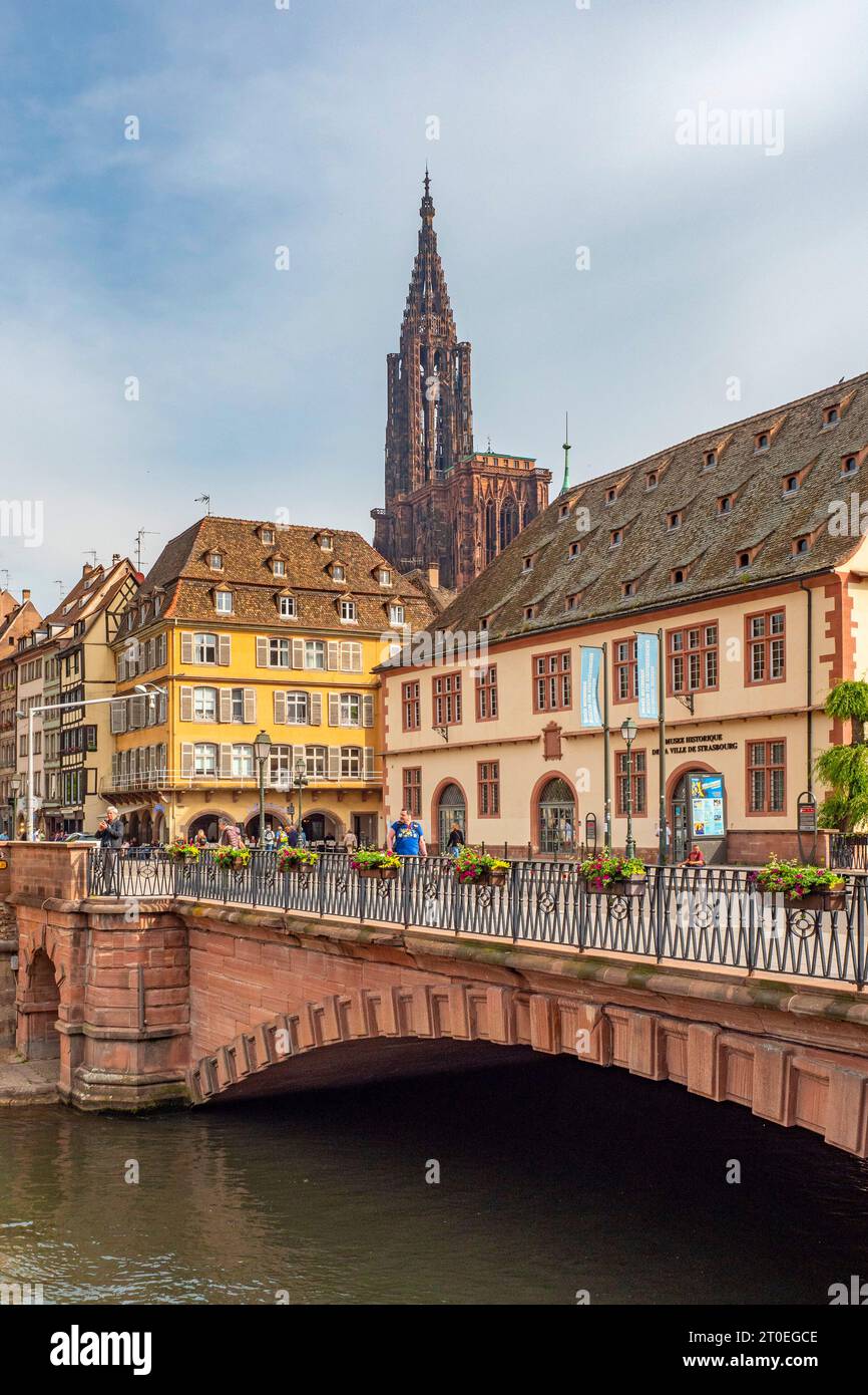 Ill und Pont du Corbeau, Rawebruck, mit Blick auf den Straßburger Dom, Straßburg, Elsass, Unterrhein, Grand Est, Elsace-Champagne-Ardenne-Lorraine, Frankreich Stockfoto