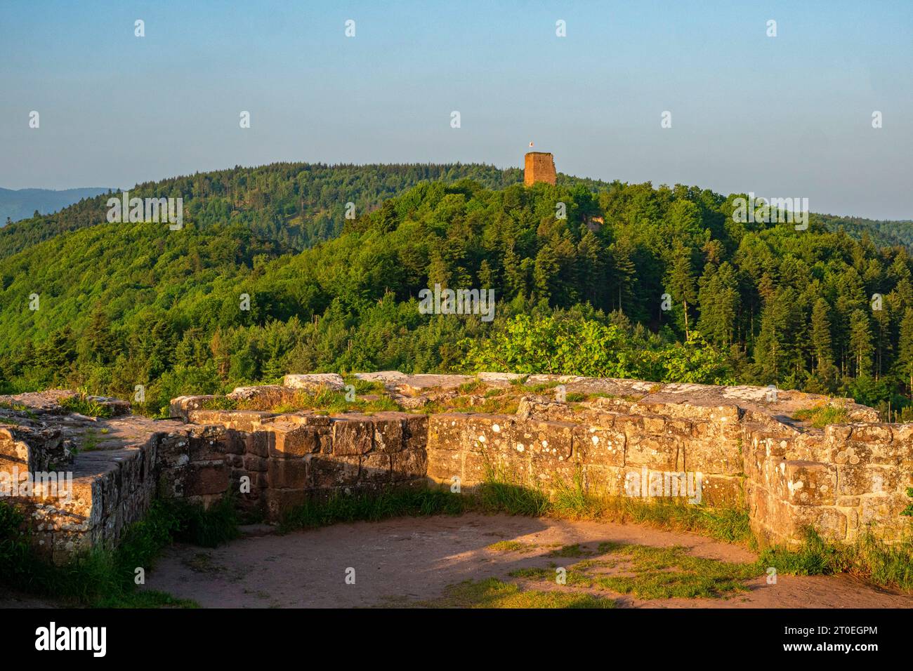 Felsenburg Hohbarr (Chateau du Haut-Barr) mit Blick auf das Schloss Groß-Geroldseck bei Saverne (Zabern), Unterrhein, Elsass, Grand Est, Elsaß-Champagne-Ardenne-Lothringen, Frankreich Stockfoto