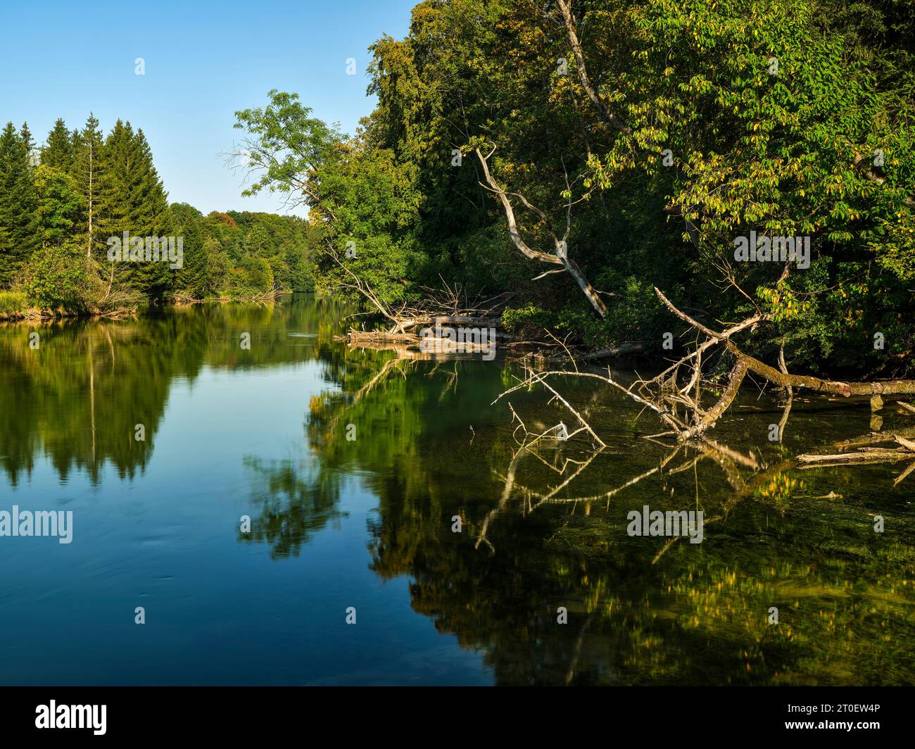 Blick auf den Lech zwischen Epfach und Hirschau (Reichling) Stockfoto