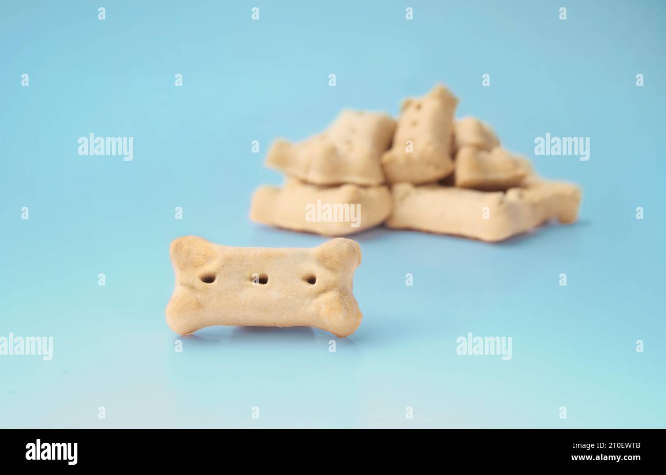 Hundemilch-Knochen-Kekse auf blauem Hintergrund. Ein Hundekeks und ein Haufen defokussierter Snacks in Form von Hundeknochen. Hundegeschenke für das Gehorsamstraining. Hergestellt aus Stockfoto