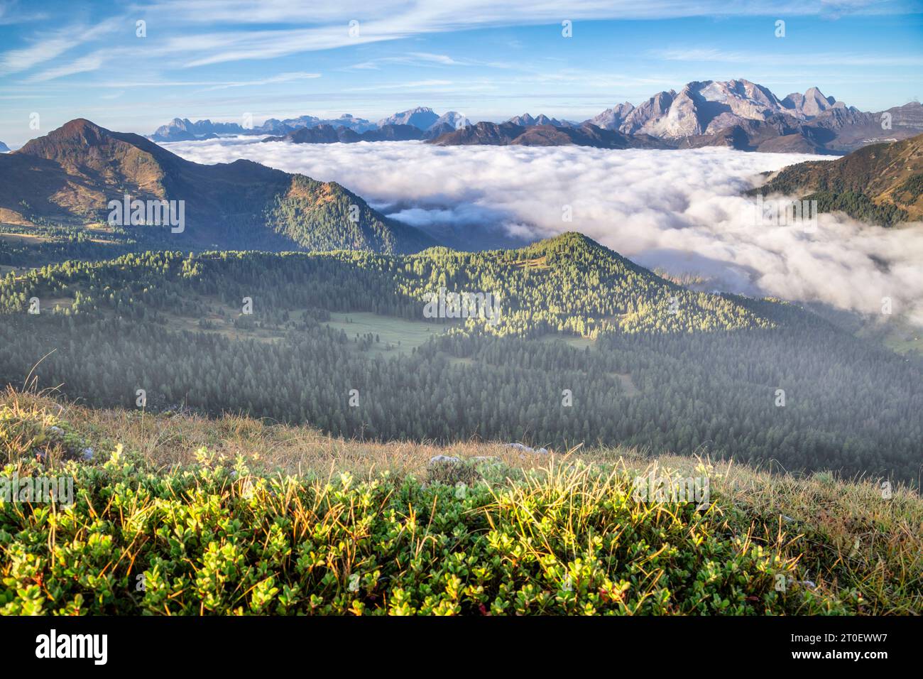 Italien, Veneto, Provinz Belluno, Blick von oben auf den Padonkamm und die Marmolada, unten im Tal ein Wolkenteppich, Dolomiten Stockfoto