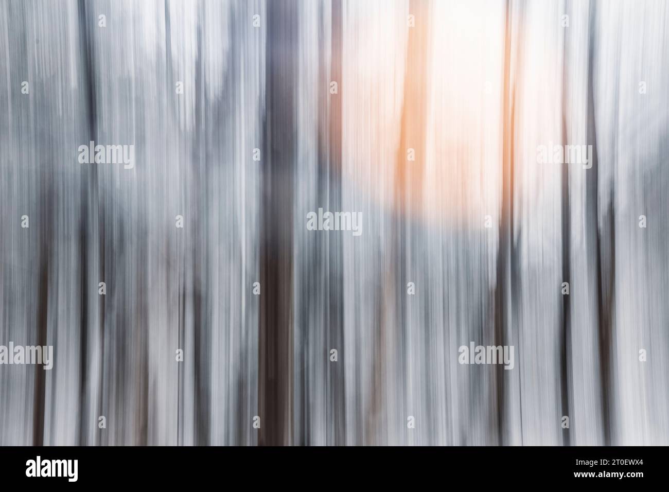 Italien, Venetien, Provinz Belluno, Dolomiten, abstraktes Bild eines Laubwaldes im Winter mit Schnee und einer Lichtquelle im Hintergrund Stockfoto