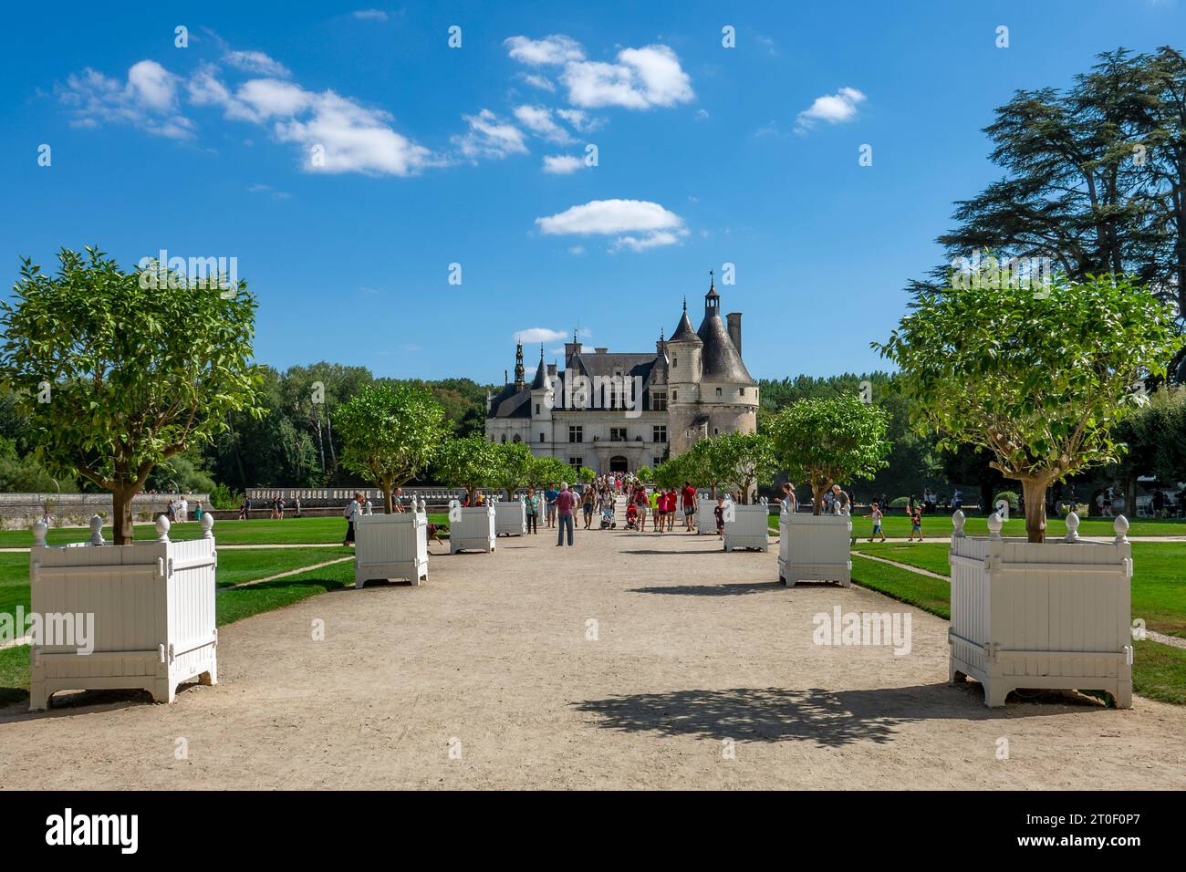 Chenonceau Castle ist eine Wasserburg. Sein Hauptgebäude steht seit 1522 am nördlichen Ufer des Cher, während die Galerie, die erst 1576 fertiggestellt wurde, den Fluss überspannt. Obwohl Chenonceau am Cher River liegt, zählt es zu den Schlössern der Loire. Stockfoto